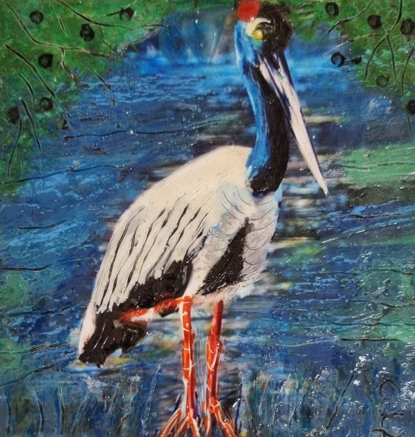 Jabiru